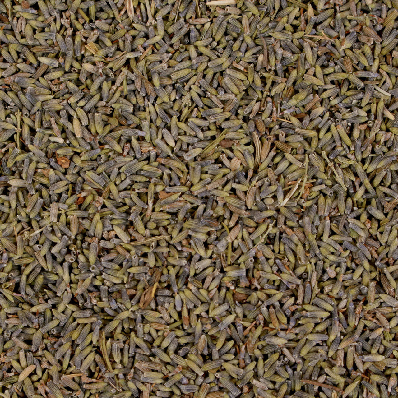 Mudis Nachfüllpack Lavendelblüten 100 g