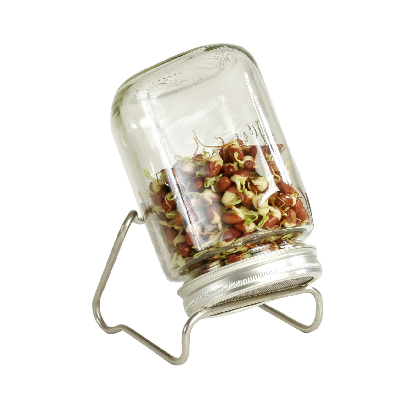 Eschenfelder Sprossenglas 1er-Set