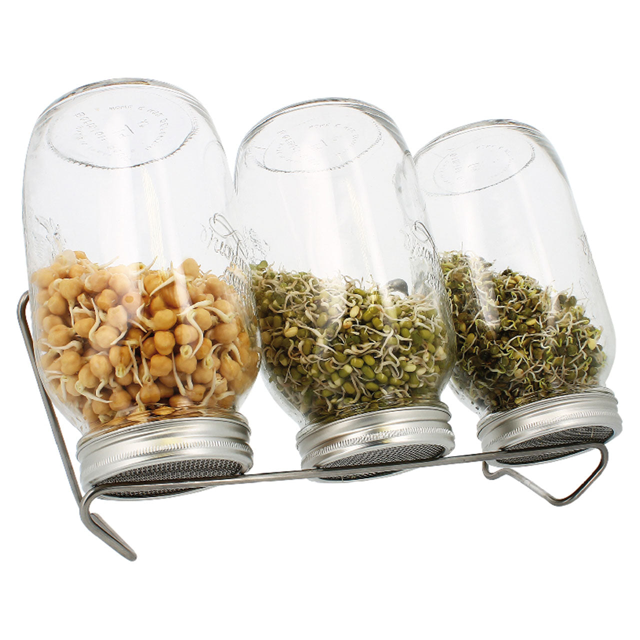 Eschenfelder Sprossenglas 3er-Set