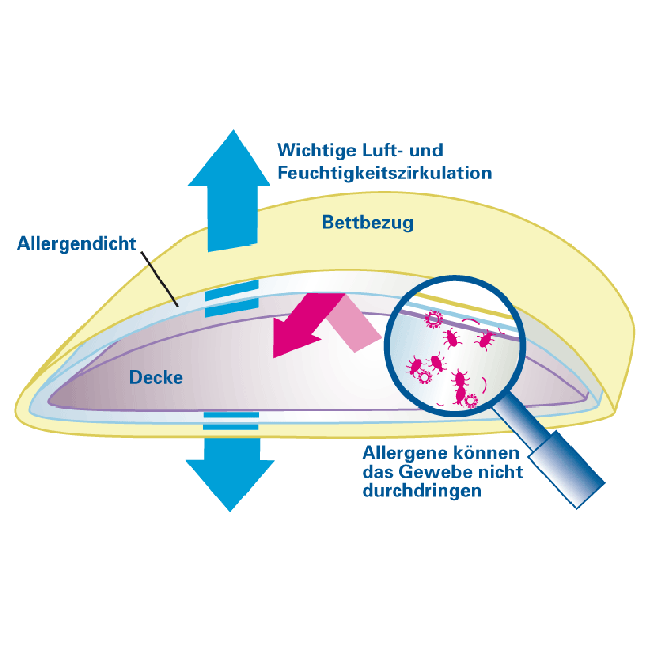 Softsan® Encasing für Bettdecken aus Bio Baumwolle | Schutzbezug für Allergiker