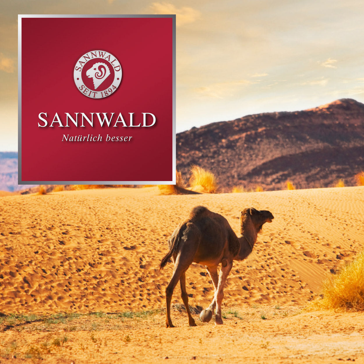 Sannwald Kairo Sommer-Bettdecke mit Kamelhaar-Füllung
