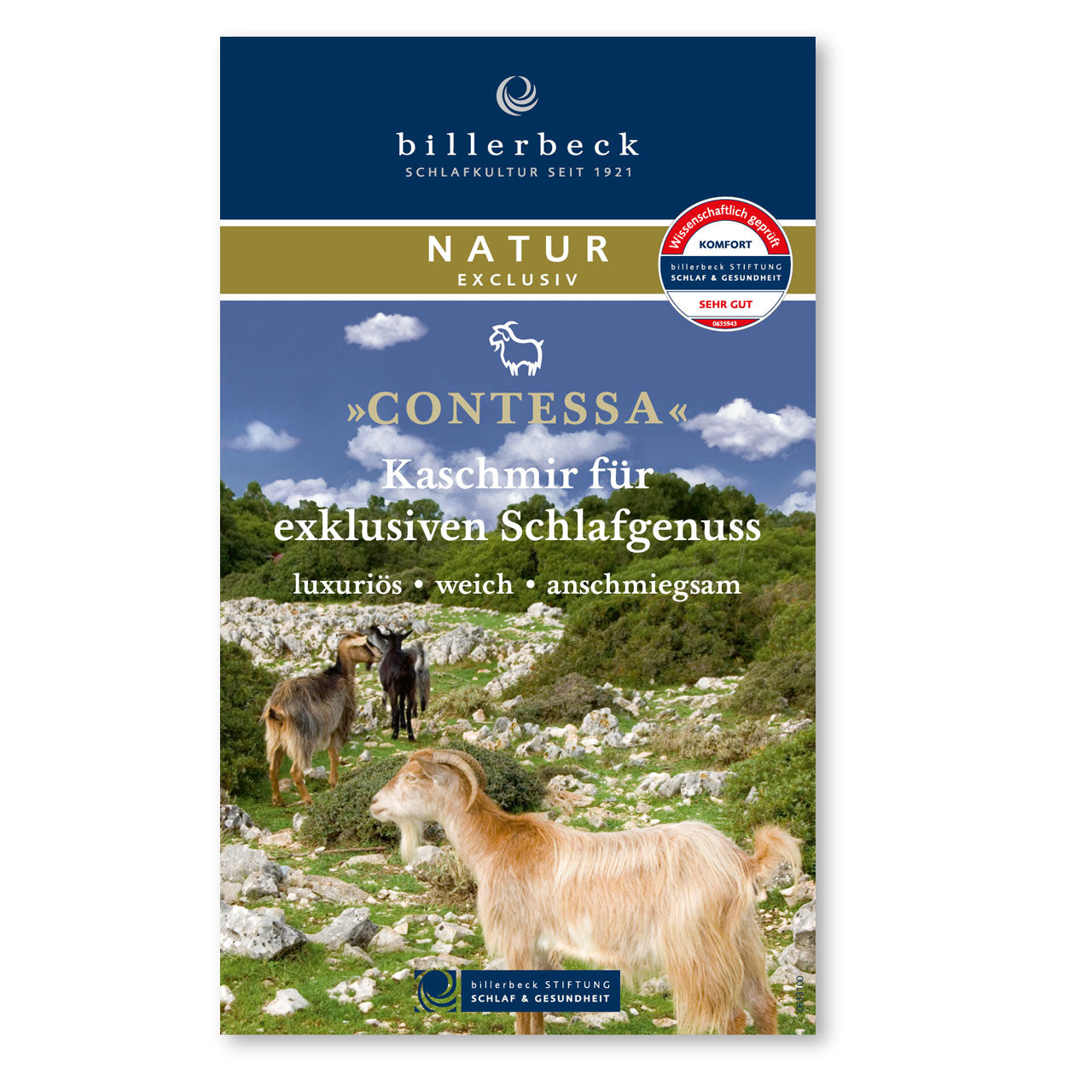 Billerbeck Contessa Light Frühjahr/Sommer-Bettdecke mit Cashmere-Füllung
