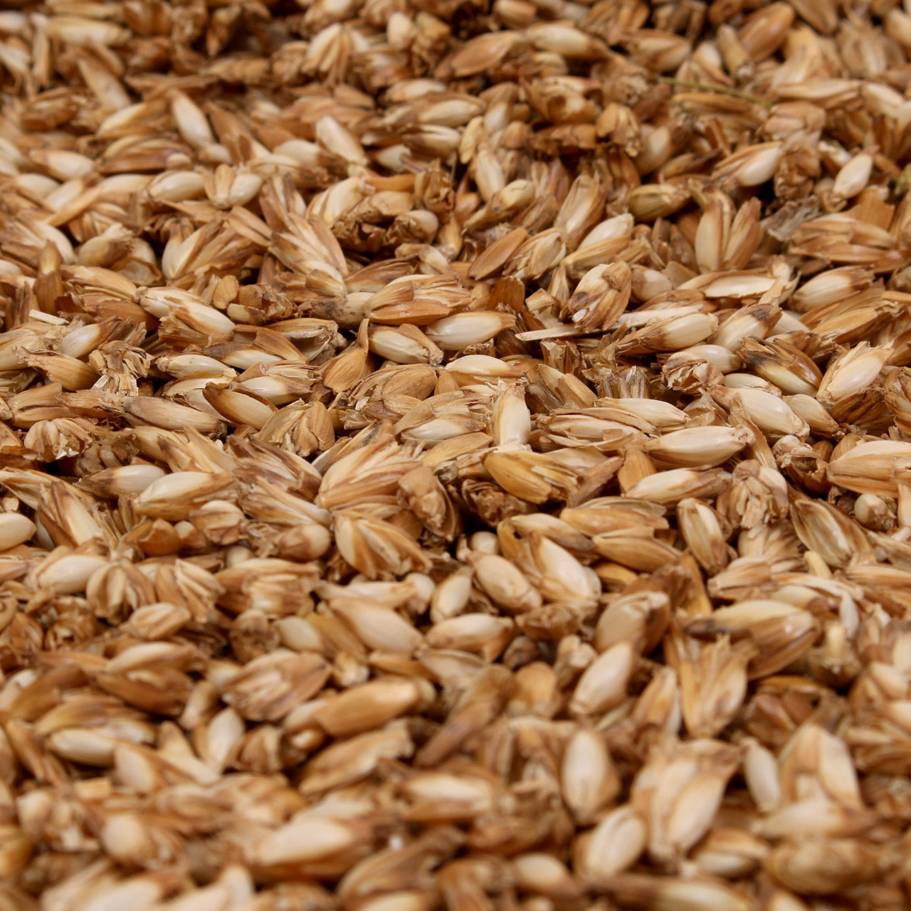 Mudis Kopfkissen mit Bio Dinkelspelzen / Zirbenholz Füllung