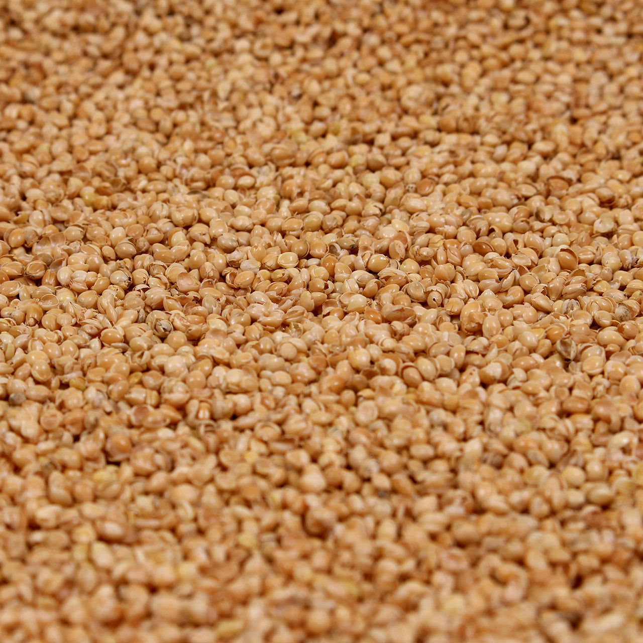Mudis Mondkissen Nackenkissen mit Bio Hirse / Bio 6 Kräuter Füllung