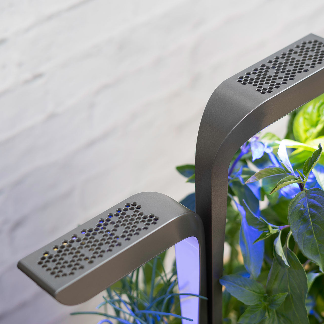 Veritable Connect Indoor Garten