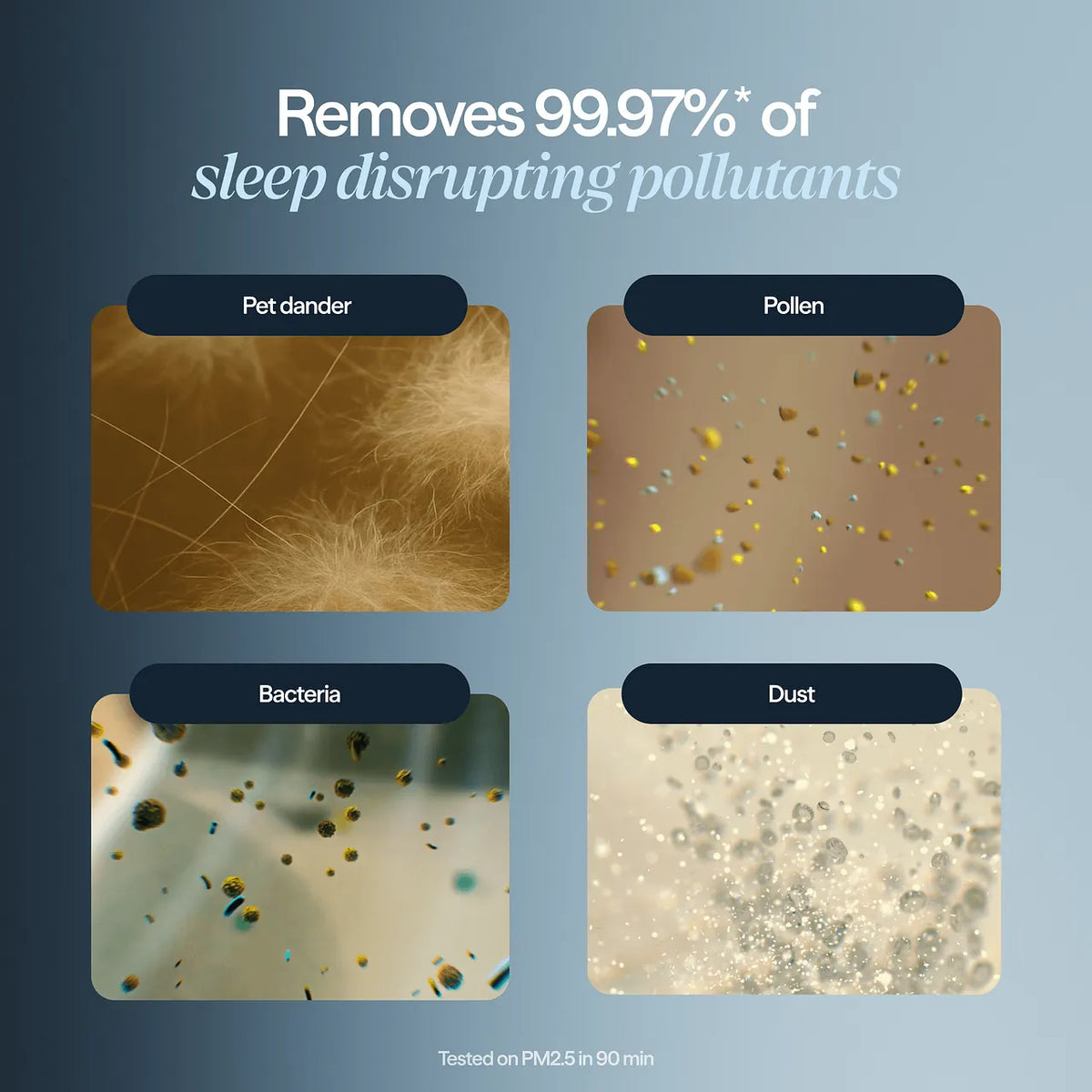 Grafik zu Blueair Mini Restful Ersatzfilter: entfernt 99,97 % Tierhaare, Pollen, Bakterien und Staub